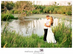 mud marsh wetland trash the dress