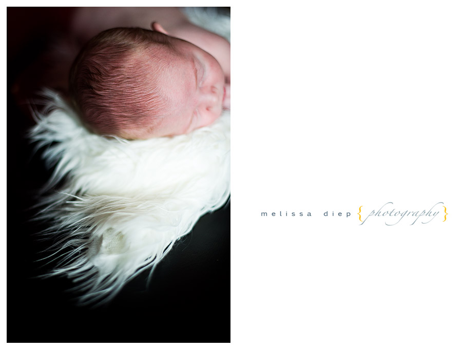 newborn photographer in chicago