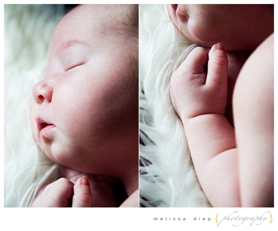 newborn photographer in chicago