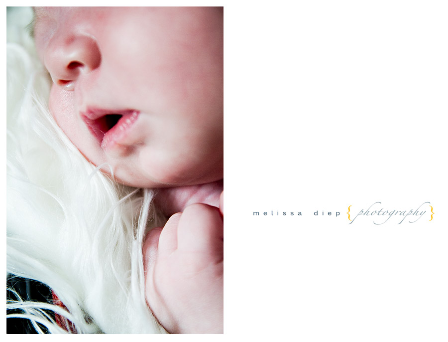 newborn photographer in chicago