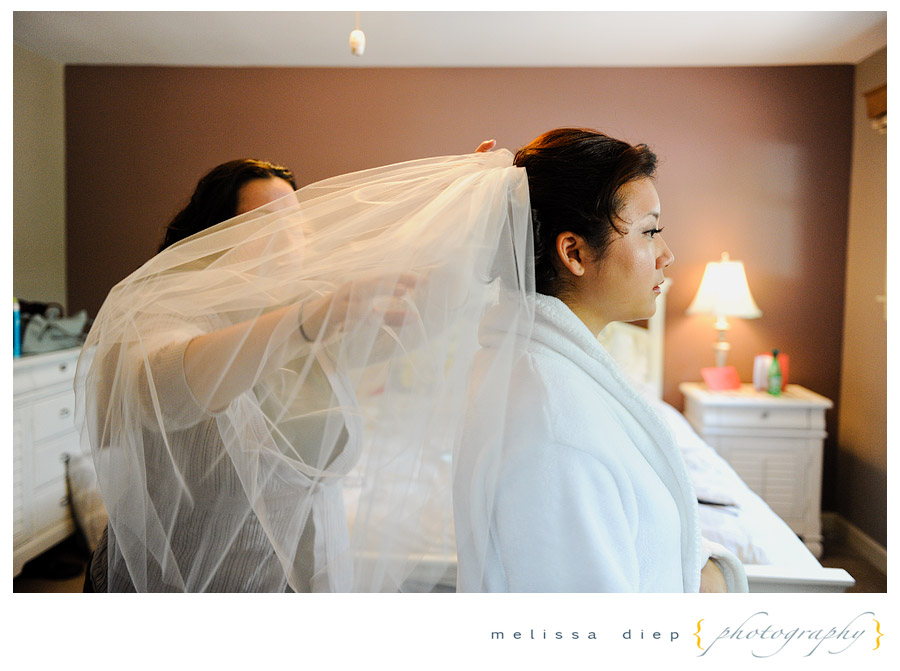 chinese vietnamese wedding chicago