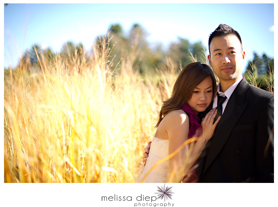 morton arboretum wedding trash the dress 