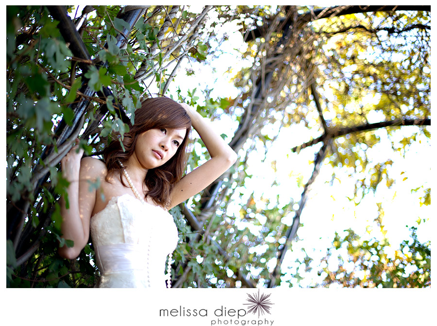 morton arboretum wedding trash the dress 