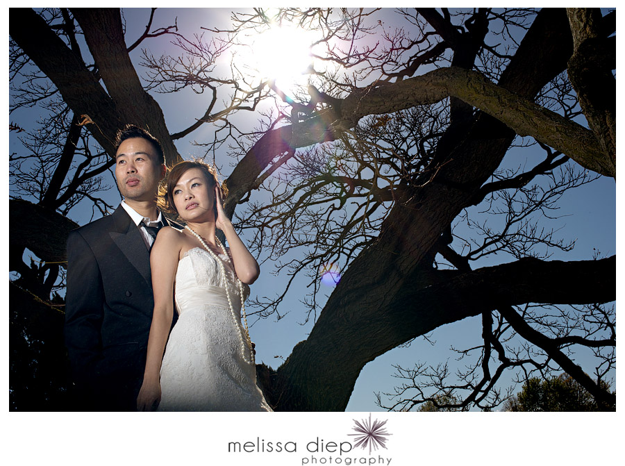 morton arboretum wedding trash the dress 