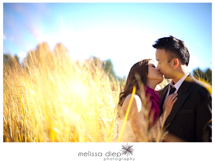 morton arboretum wedding trash the dress 