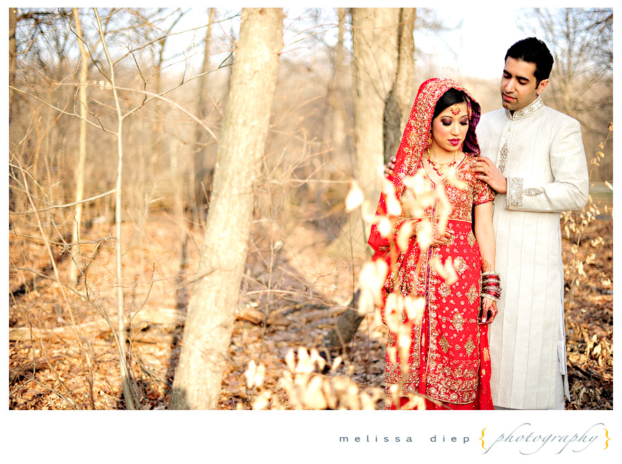 Elegant Indian couple posing with reception outfits. | Photo 241589