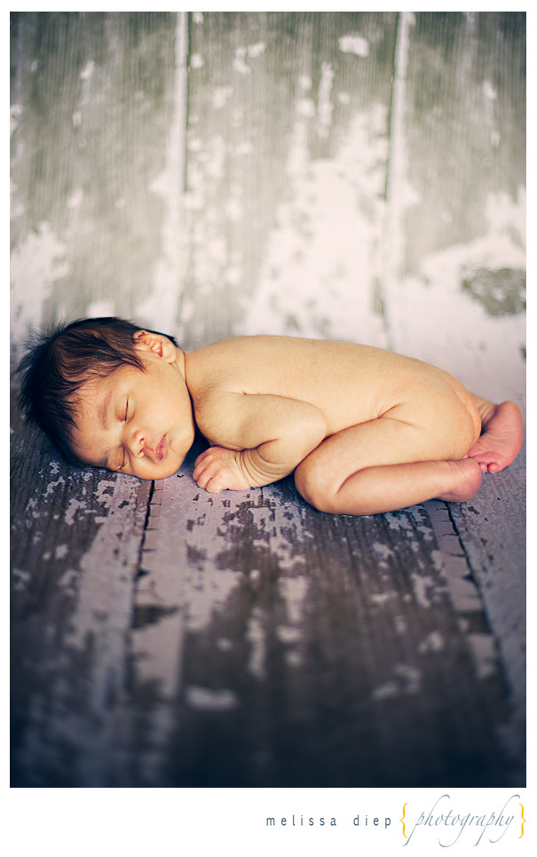 chicago newborn photographer