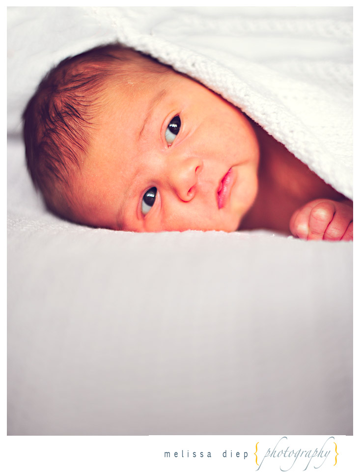 twins newborn baby photographer