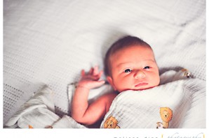 twins newborn baby photographer