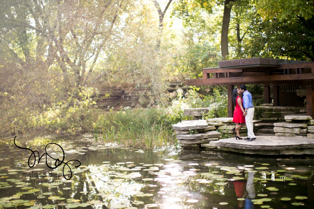 alfred caldwell lily pool engagements