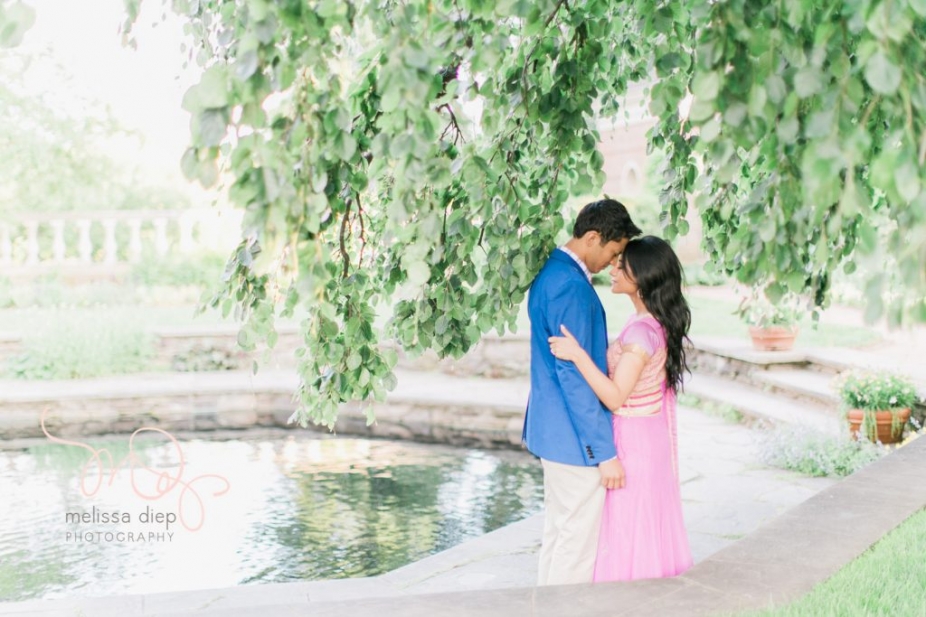romantic fun indian engagement pictures at chicago botanic garden