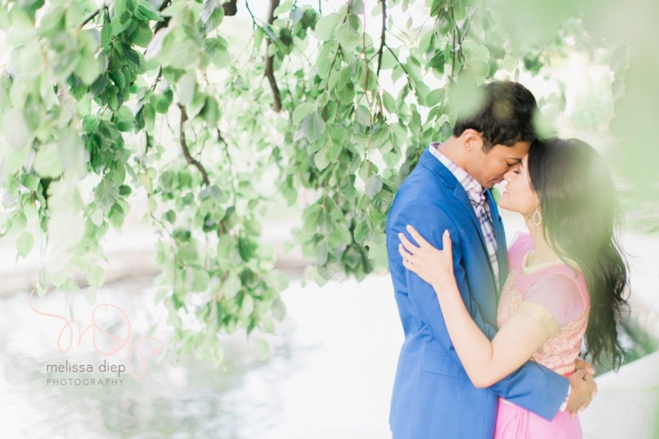 romantic fun indian engagement pictures at chicago botanic garden